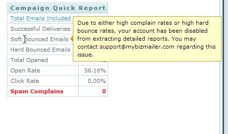 Cannot view or download detailed campaign reports
